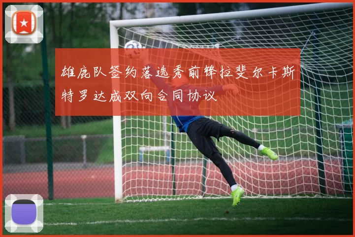 雄鹿队签约落选秀前锋拉斐尔卡斯特罗达成双向合同协议