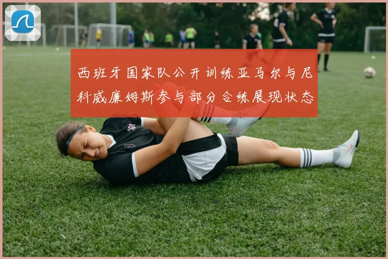 西班牙国家队公开训练亚马尔与尼科威廉姆斯参与部分合练展现状态